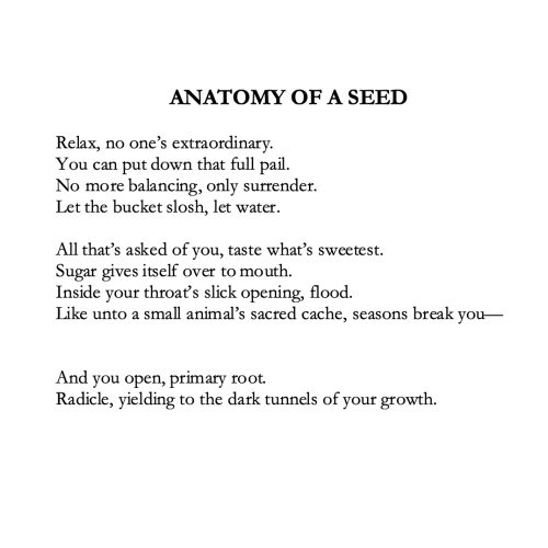 Lauren Carlson - Anatomy Of A Seed